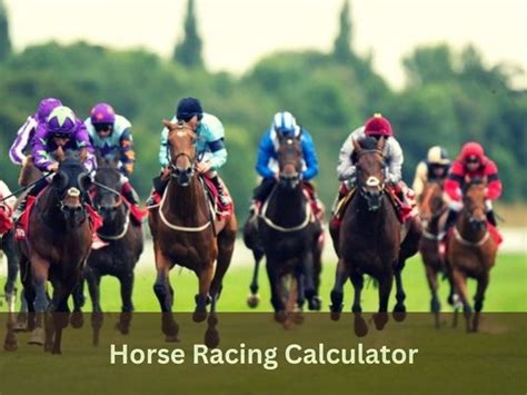 horse racing payout calculator|kentucky derby payout calculator.